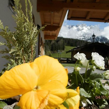 Landhaus Wildschwendt Hotell Ellmau Eksteriør bilde
